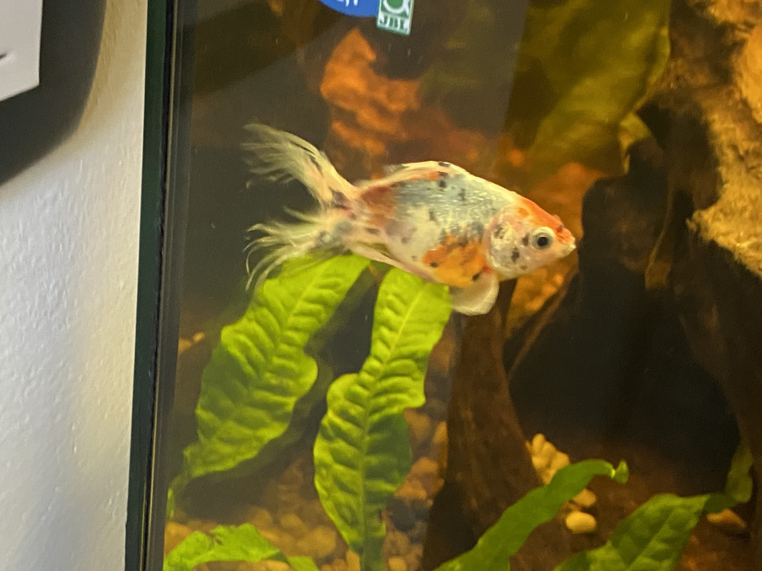 B80A365C-0FE6-4A65-A2CD-9A93148BAA29