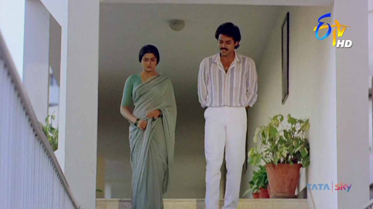 vlcsnap-2021-04-22-15h24m23s236