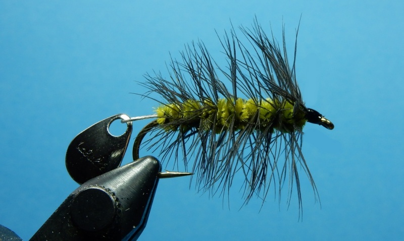 Flashy-Ass-Woolly-Bugger-Variant-800.jpg