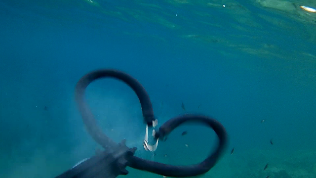 received_496681317356042