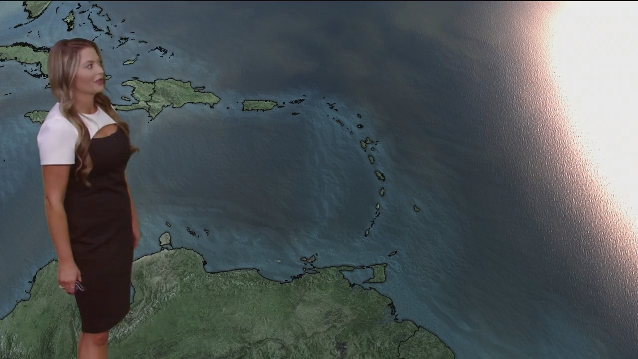 Eyewitness News Mornings at 10_20240701_15001600.ts_snapshot_00.18.08.767