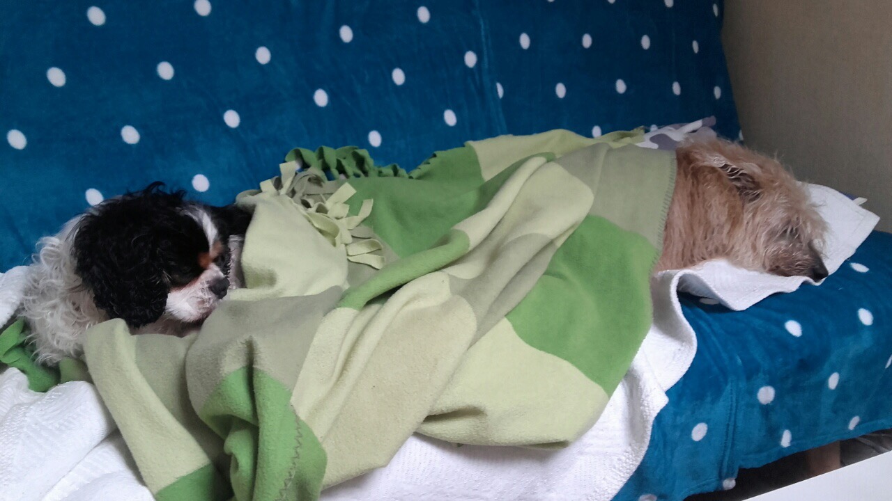 51501B9E-A7B4-415A-B141-3A8BF1DD4905