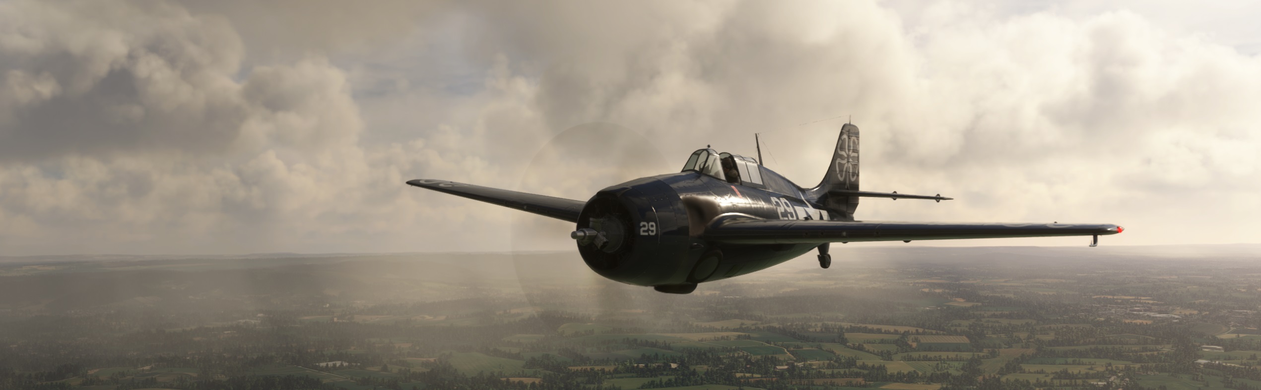 Wildcat-Dusk.jpg