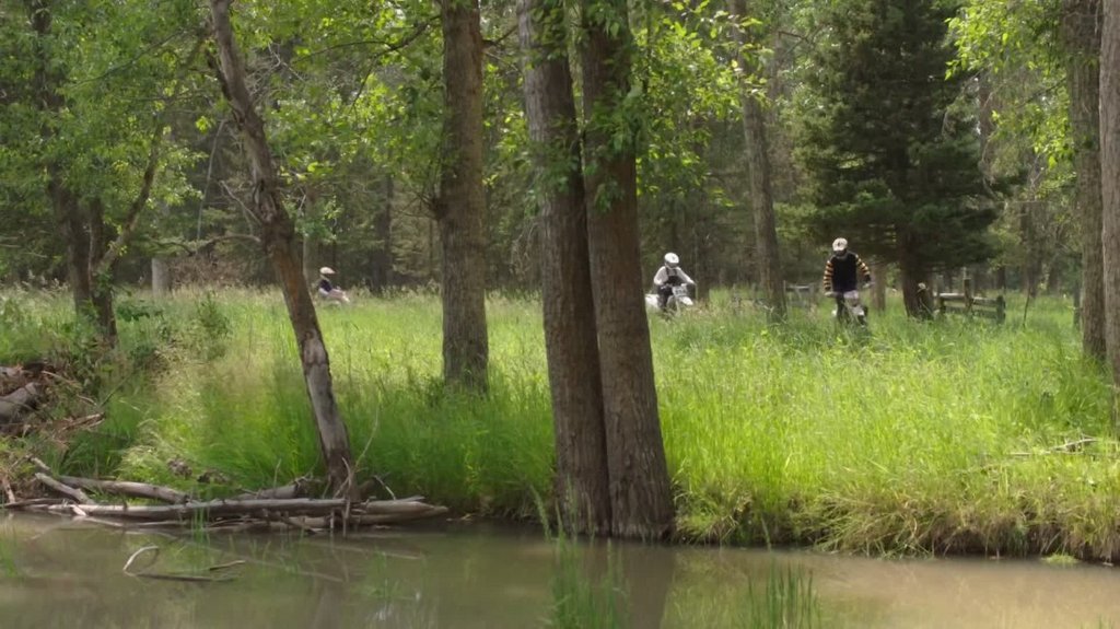 [Image: 8z3hnprcn80d.jpg]