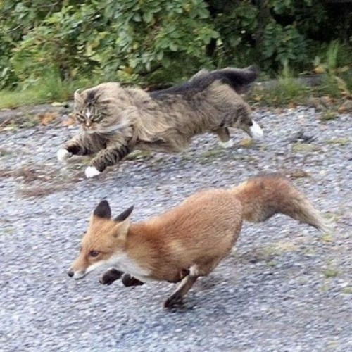 Devon-Rexi-meets-John-T-Gast-Breathstep-