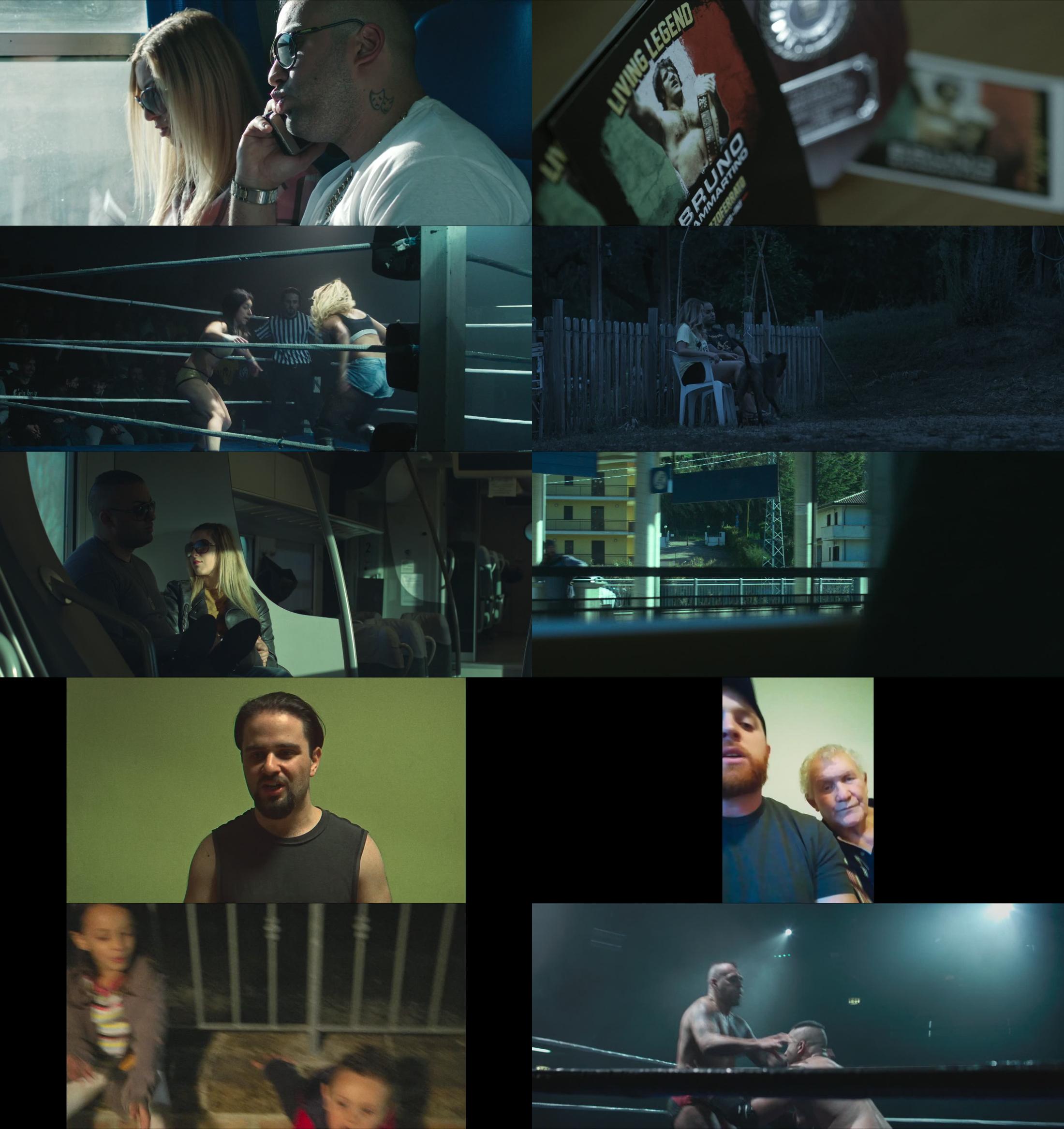 WRESTLOVE.Lamore.combattuto.2019.ITALIAN.1080p.WEBRip.x265-VXT Scarica Gratis WRESTLOVE.Lamore.combattuto.2019.ITALIAN.1080p.WEBRip.x265-VXT Scarica Gratis