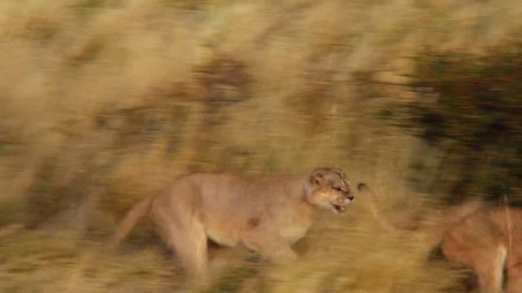 [Image: 88bbhyn18rlp.jpg]