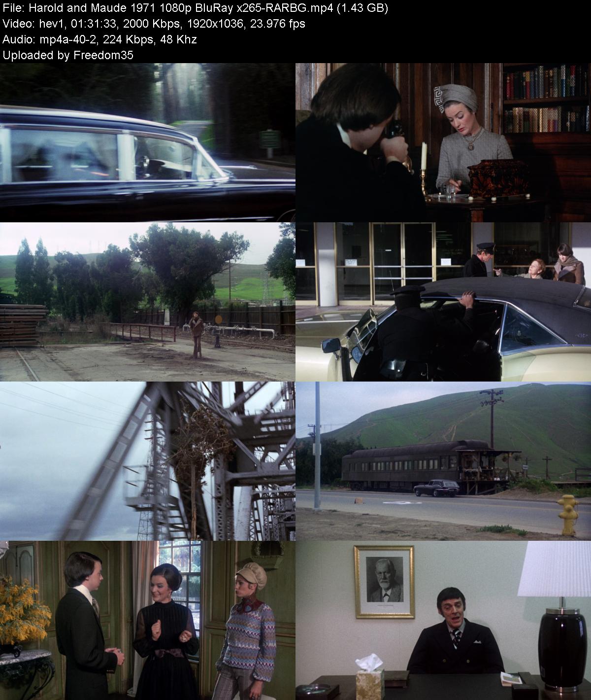 Harold-and-Maude-1971-1080p-Blu-Ray-x265
