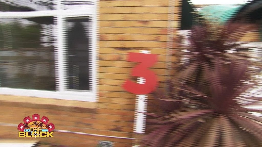 [Image: br7t6z1pqt0h.jpg]