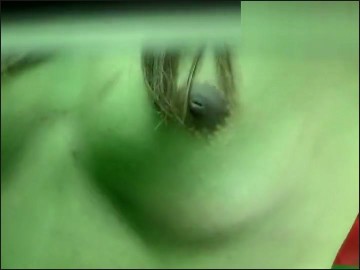 [Image: Voyeur37855125442.jpg]