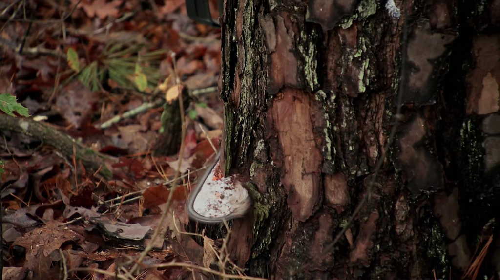 [Image: sl9t81myq4za.png]