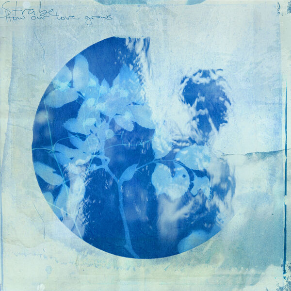 [Image: 8oo2snqygd38.jpg]