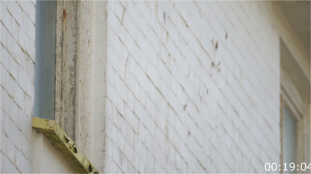 [Image: mut5vy174dnz.png]