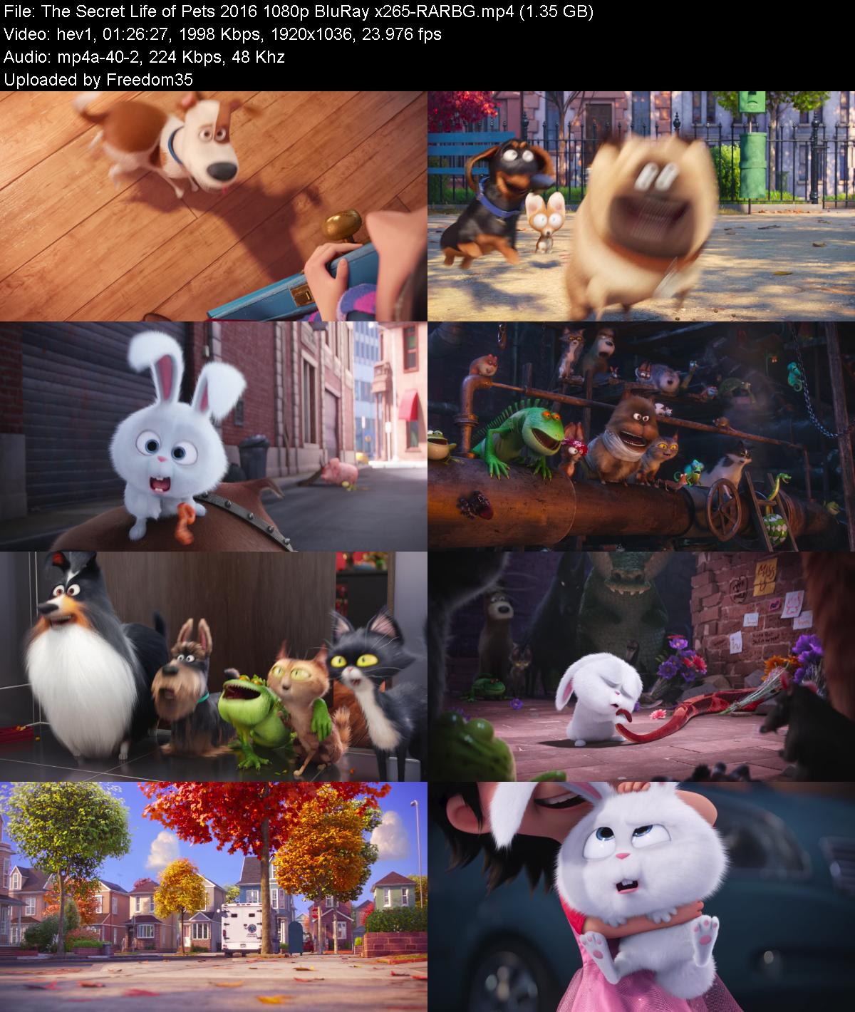 The-Secret-Life-of-Pets-2016-1080p-Blu-R
