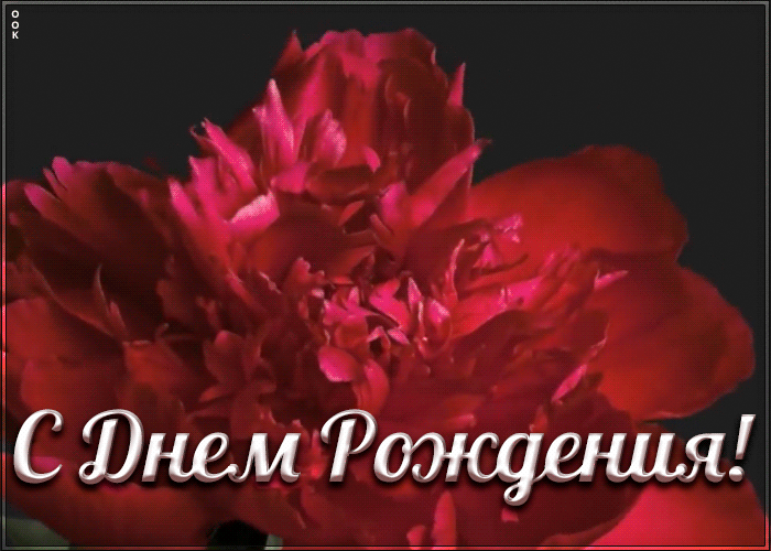 https://i.postimg.cc/gj05mb22/pozdravlenie-zhenshchine-s-pionom-236.gif