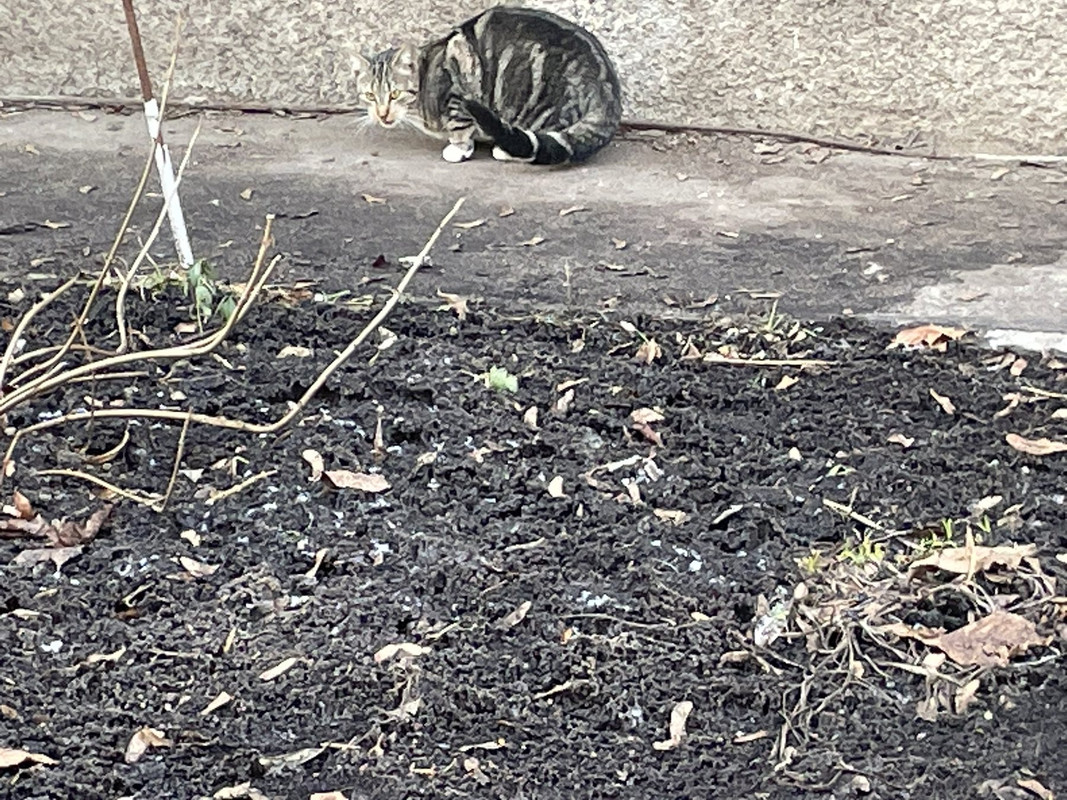 0DF97727-4026-417D-BC53-F3A0C7BF07E5