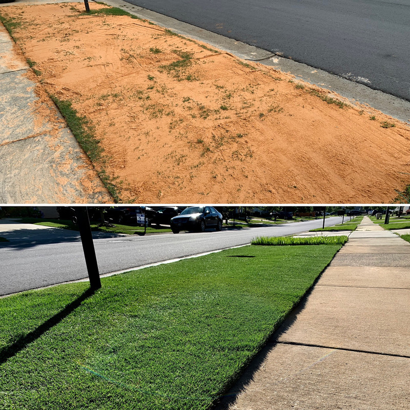 50606BF8-840D-4325-ABC0-7E19CD5802ED