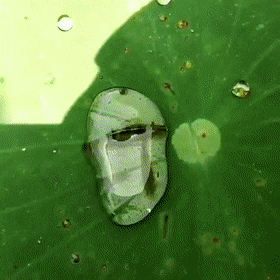 GIFs-15