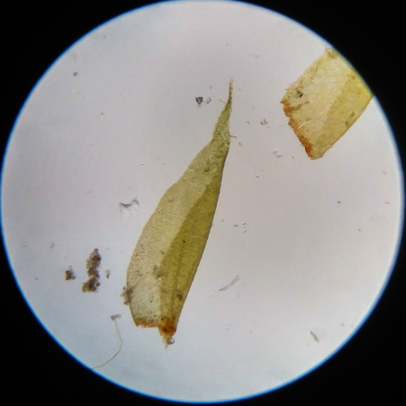 IMG 20250617 111442 HDR