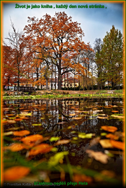 neděle10.11.2024úúúpr