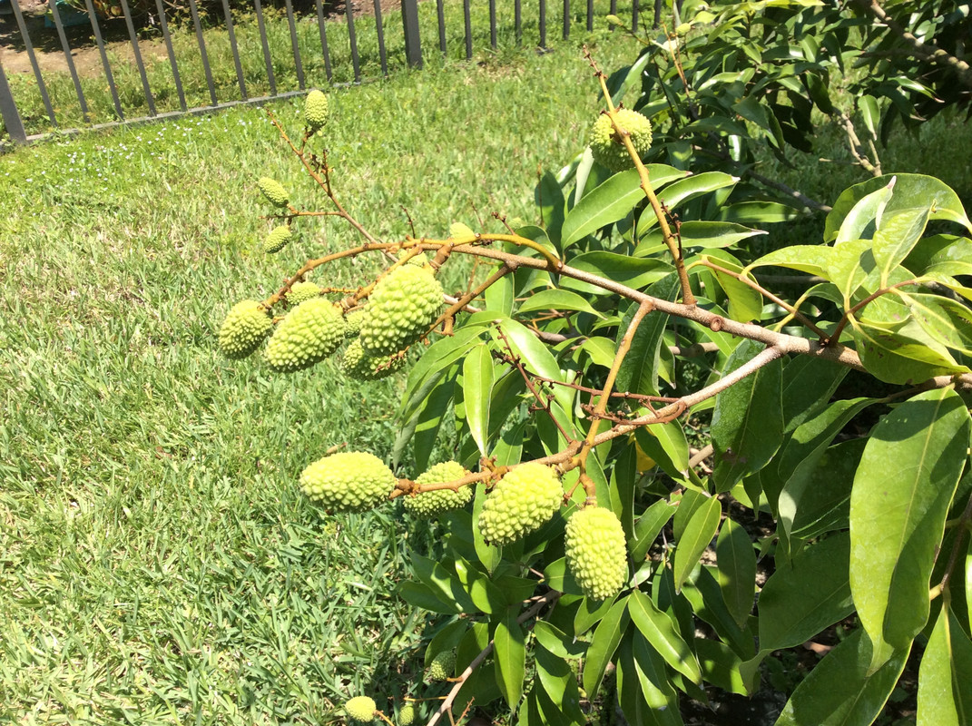 0EDCE8ED-83BA-47E4-A964-849882D18B87