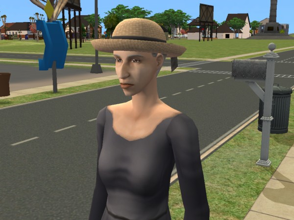 Zajímavosti ze světa TS2 007b