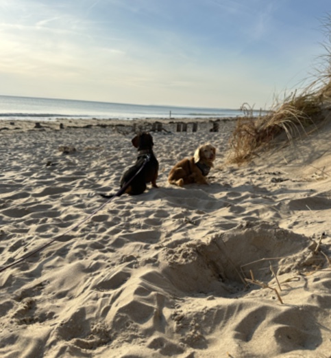 [Image: IMG-9418.jpg]