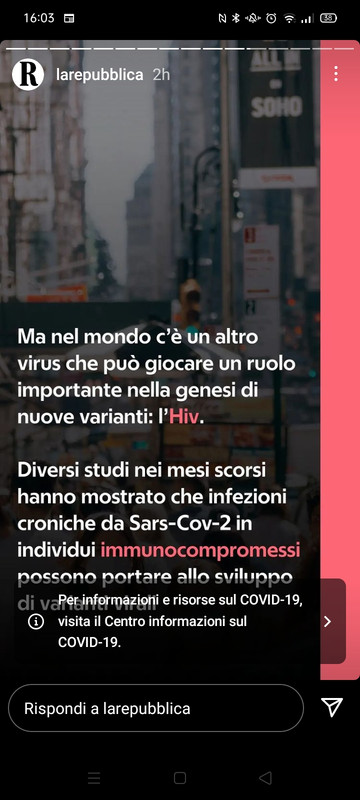 Immagine