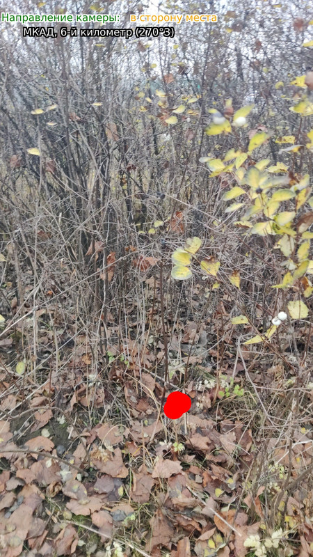 q 20251110 212630