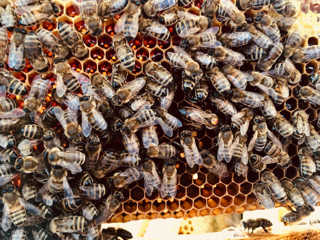 AADE0F8C-9DBB-4BCE-9867-31450CEF3224