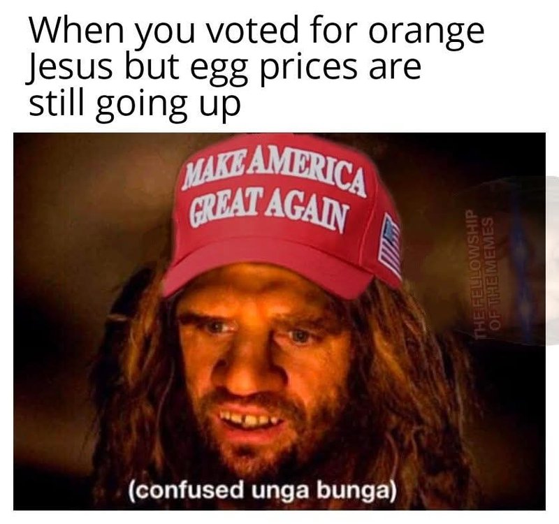 [Image: FB-IMG-1739205121641.jpg]