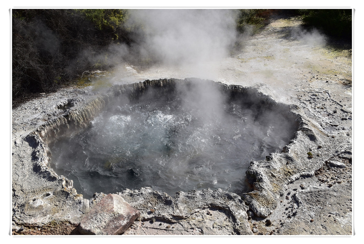 Cosas que hacer en Rotorua - Escapadas y rutas por la Nueva Zelanda menos conocida (7)