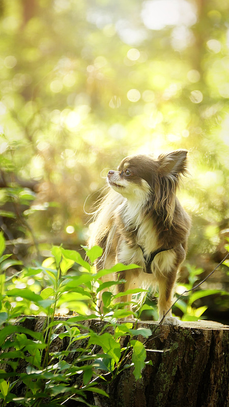 Lumii_20210610_103813041