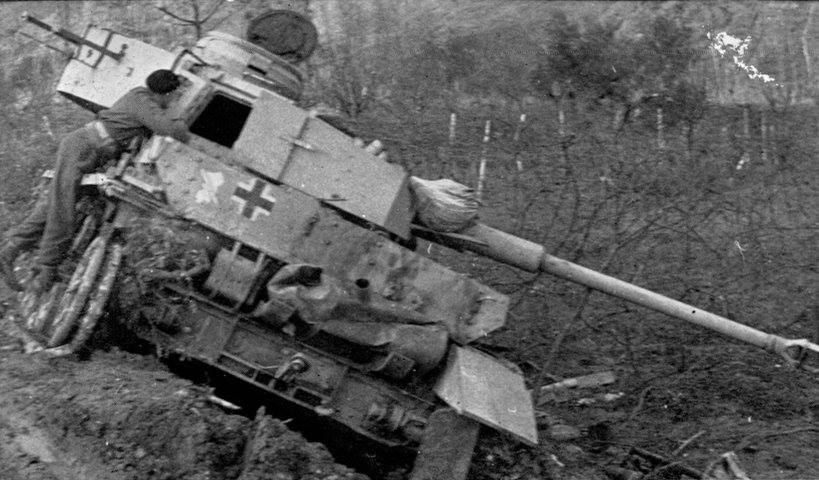 50887188_2606862946010347_4382650775629725696_n (1)