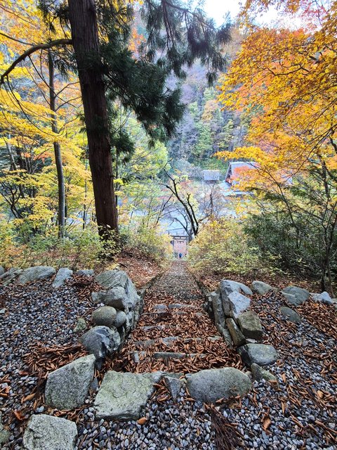 Cabañas y templo en Shirakawa-14-11-2024 - Japón y sus Pueblos-2024 (20)