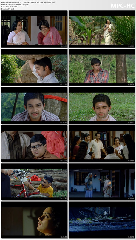 Rathinirvedam (2011)