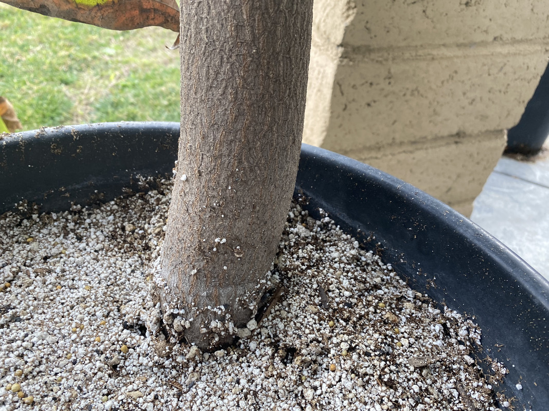 88666489-F1AE-4205-B05A-948E9F0F3126