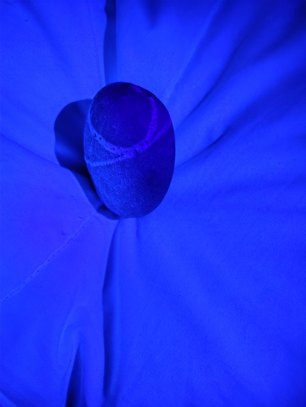 IMG 20251230 181547381 HDR