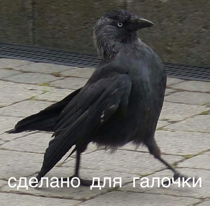 228fa10fbaeafa3241e2d549a51fddd3.jpg