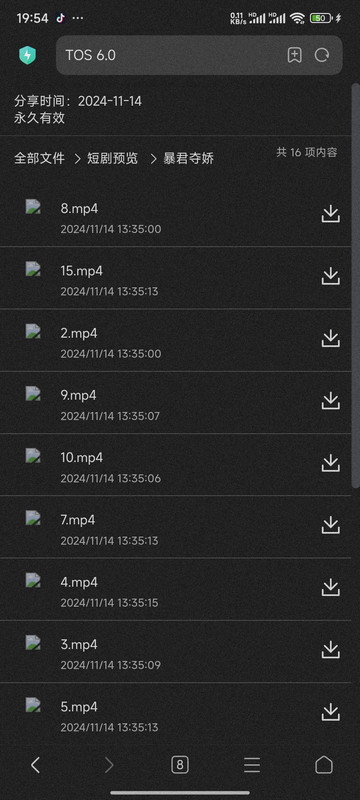 Screenshot_2024-11-14-19-54-49-641_com.android.browser