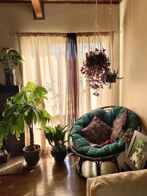 Cozy-26