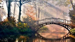 Thơ hoạ Nguyễn Thành Sáng & Tam Muội (983) Bridge-sun-beams-light-morning-river-park-fairy-tale-48376-1280x