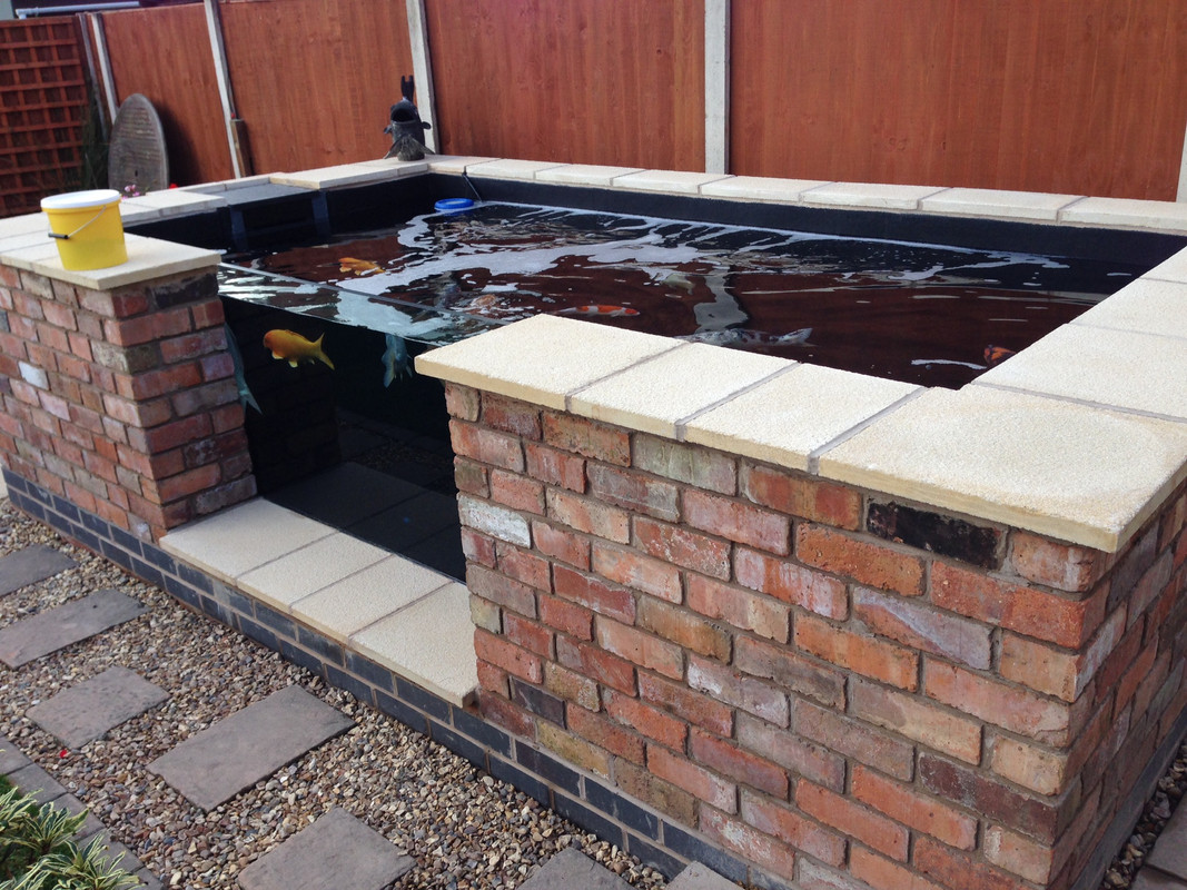 BC5E692A-D4EF-4D1B-B9CC-9800BD4C84E2