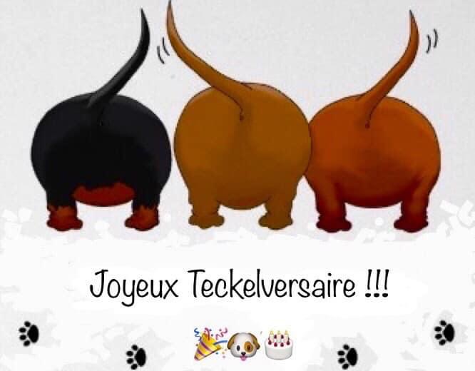 [Image: Anniversaire-teckel-8.jpg]