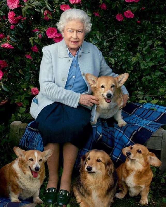 Reaparecen los famosos corgis de la Reina Isabel II