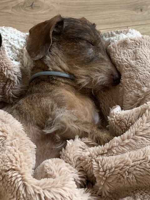 [Image: 96-BB4-C55-AB09-4751-9367-EBD36-B86-ABC4.jpg]