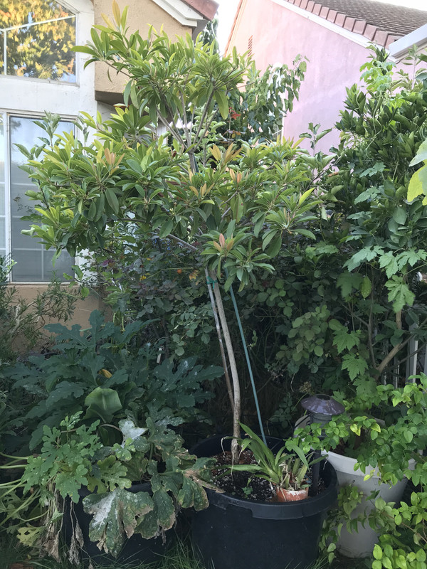 E336411D-F884-4327-B0BF-FEB577451394