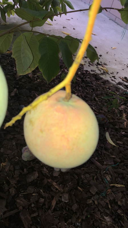 D6D05042-9675-415F-9769-01CB6B175DFA