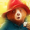 icth101violet-Paddington2kitchen