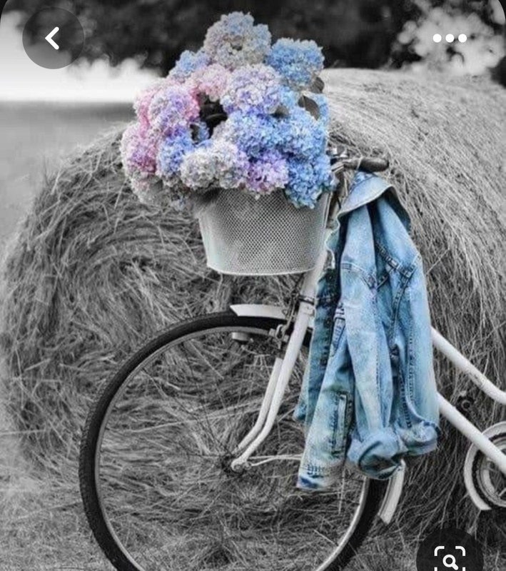 Screenshot_20230426_234054_Pinterest